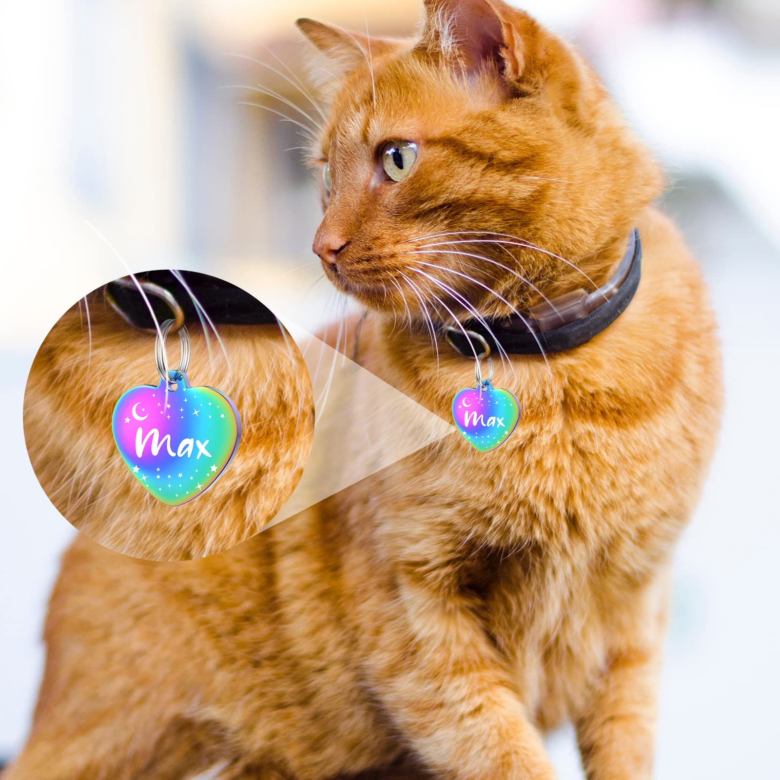 Uiopa 2 Pezzi Medaglietta Cane Personalizzata, Testa Di Gatto Medaglietta Gatto Con Incisione, Acciaio Inox Targhetta Cane Con Incisione Pendenti Per Collare Cani E Gatti (Argento, Grande - 2