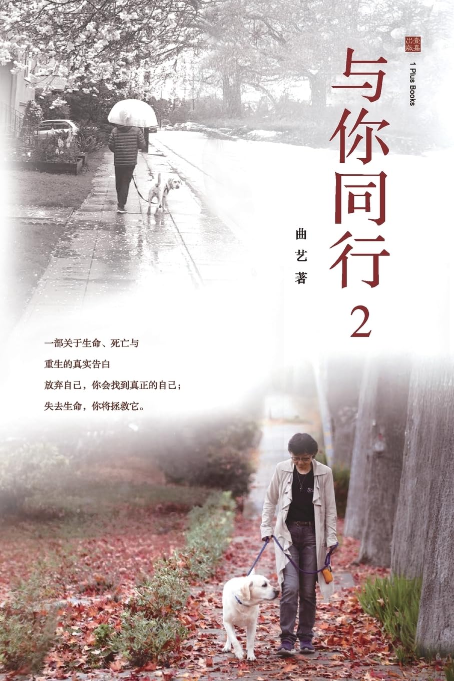 与你同行 2: 在失去、疾病与信仰之间,一段真实的生命续篇 (壹嘉出版)