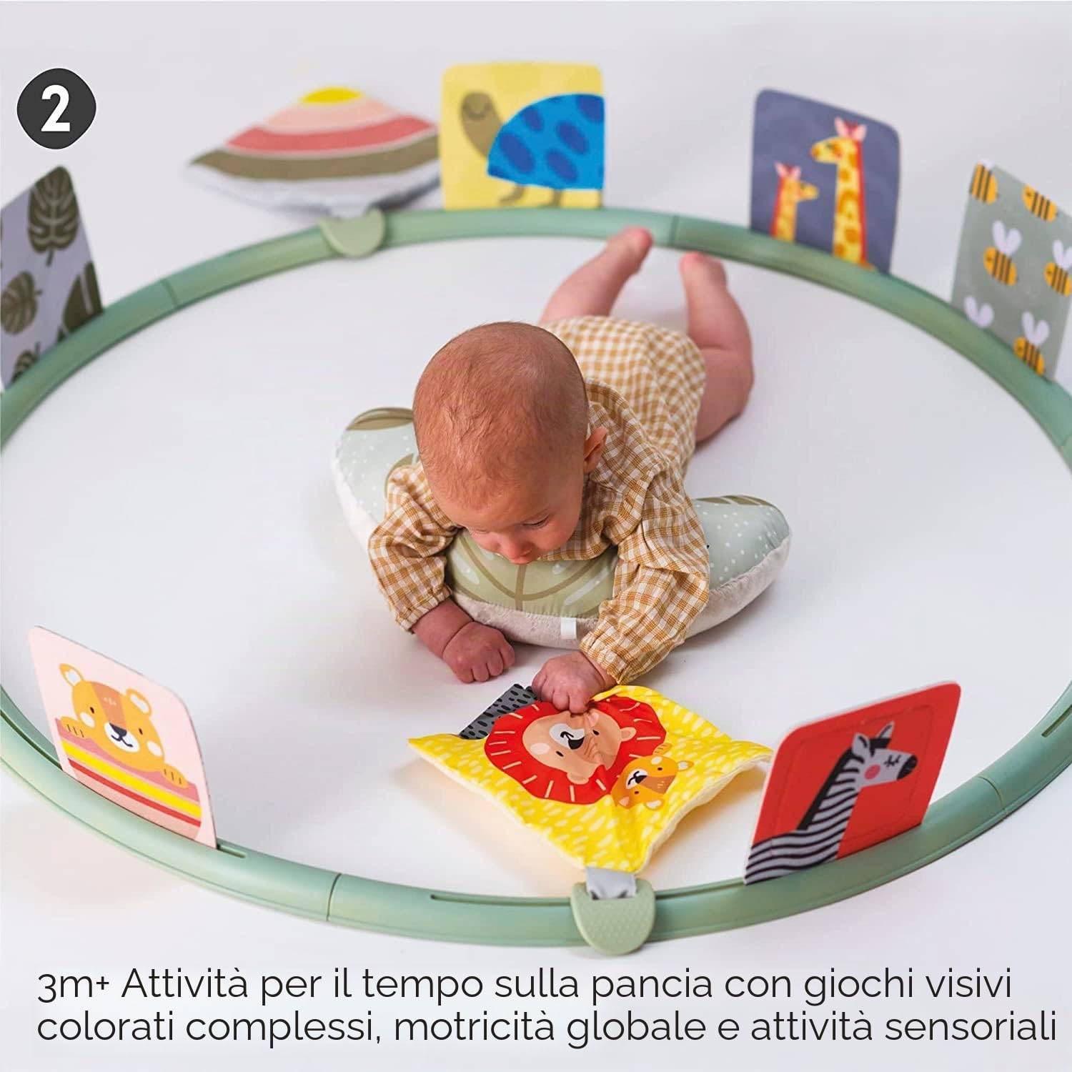 Taf Toys - Supporto per il tempo dell'addome per neonati e neonati, centro attività di sviluppo con cuscino rimovibile e giocattoli che favoriscono lo sviluppo dei sensi del bambino