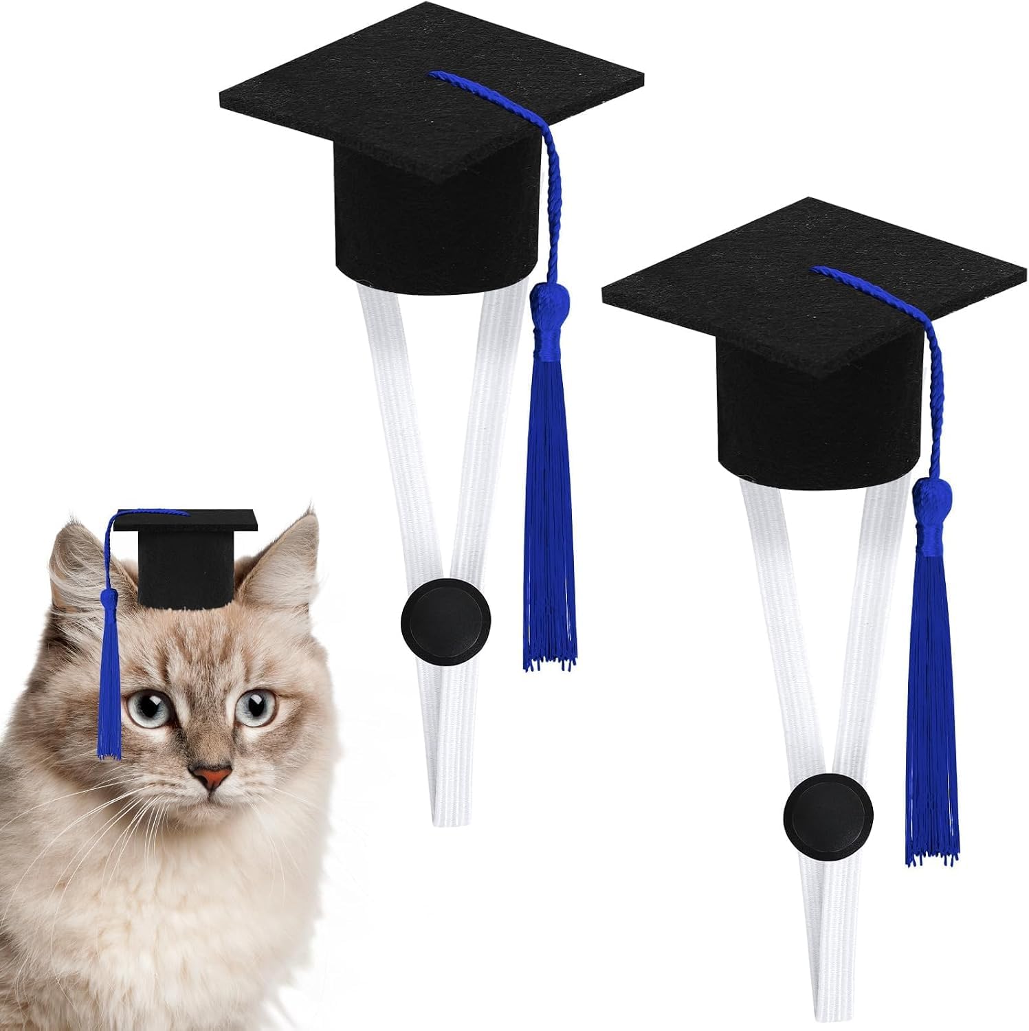 2 Pack Mini Graduation Caps with Blue Tassels, Mini Pet Graduation Caps Small Animal Bachelor Hats with Adjustable Elastic Strap for Cats and Dogs Photo Props Party Supply (Blue,2)