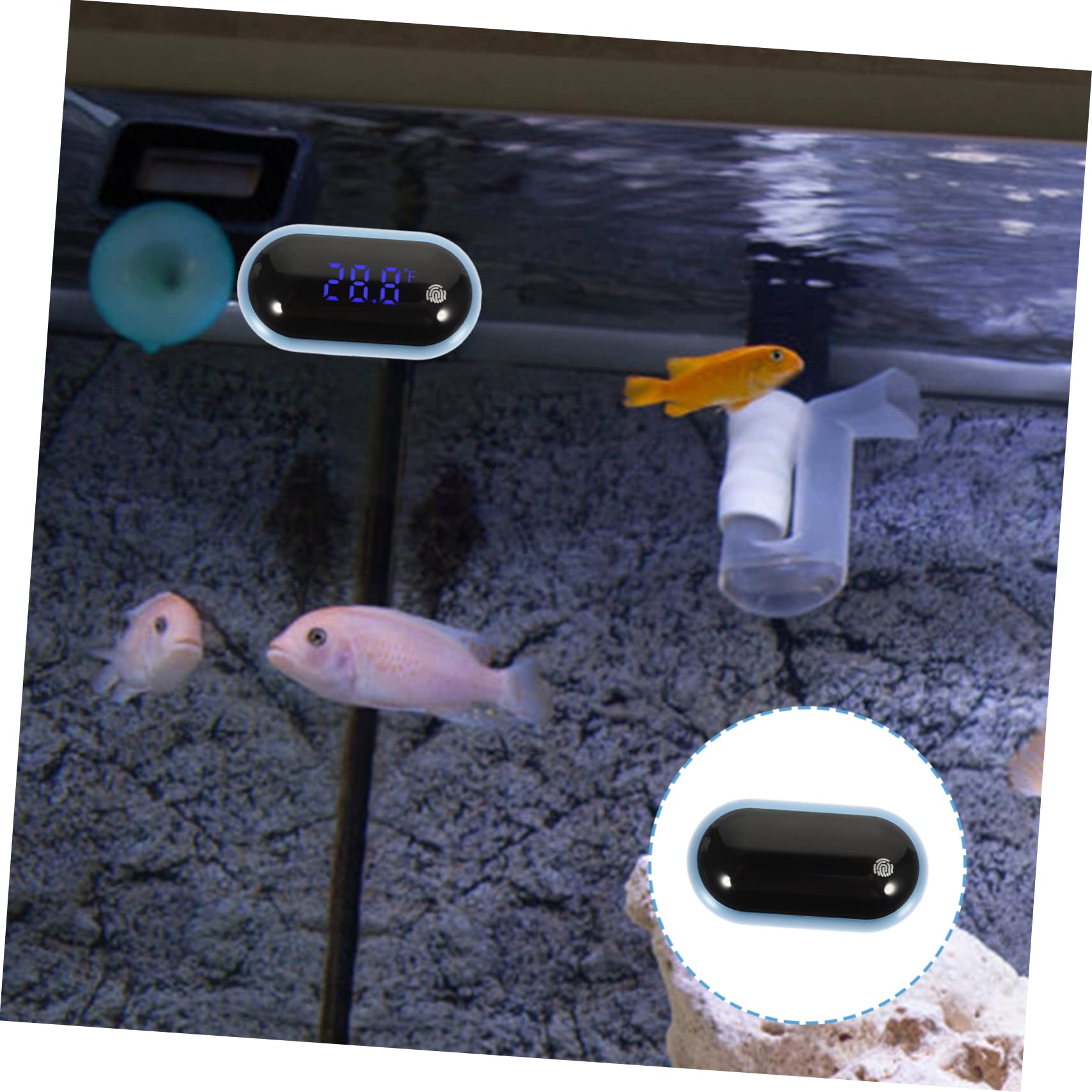 Happyyami 3stücke Digitales Aquariumthermometer Präzise Temperaturmessung Für Fischbecken -display Einfache Montage Kompakt Und Praktisch Für Zuhause