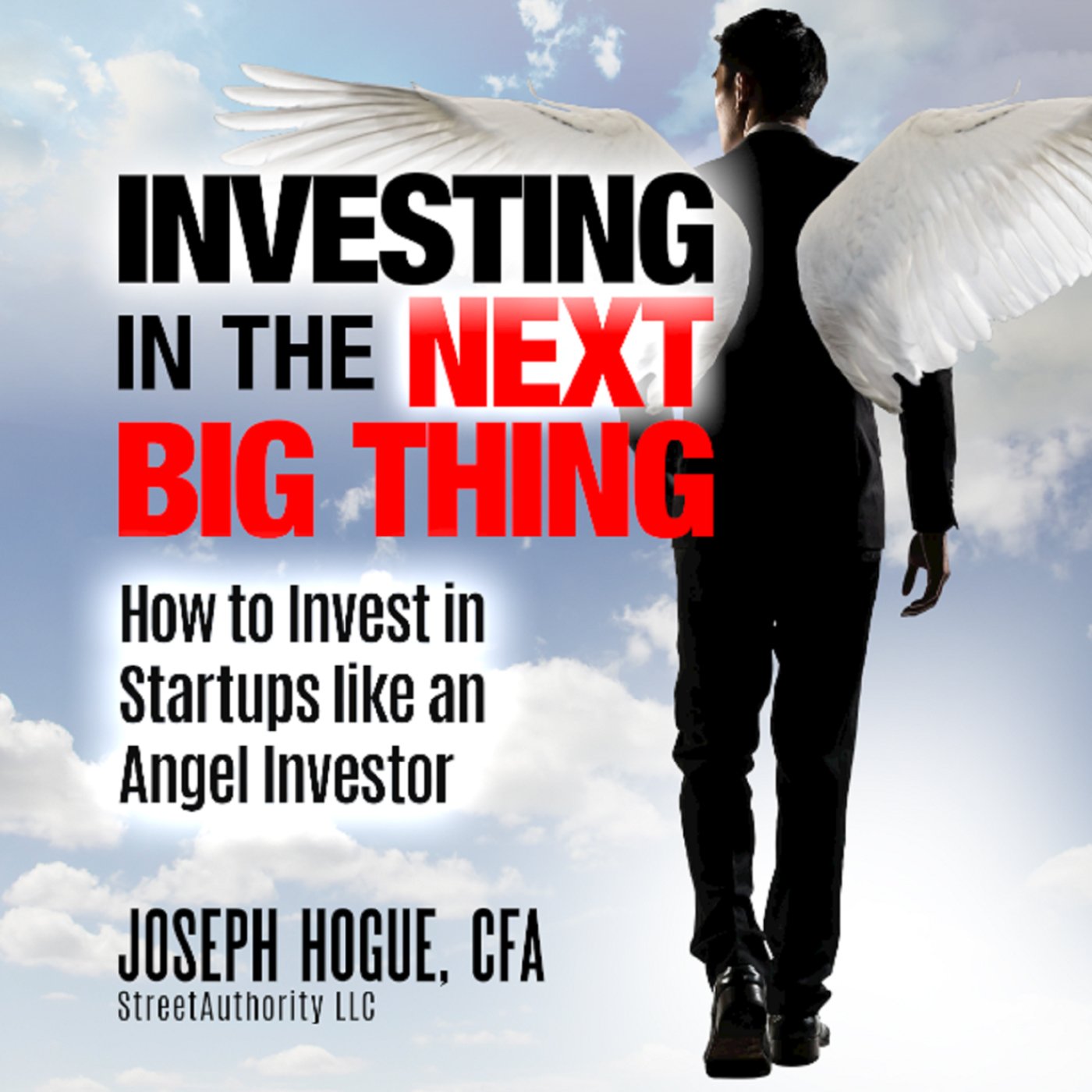 Cover art for Investing in the Next Big Thing