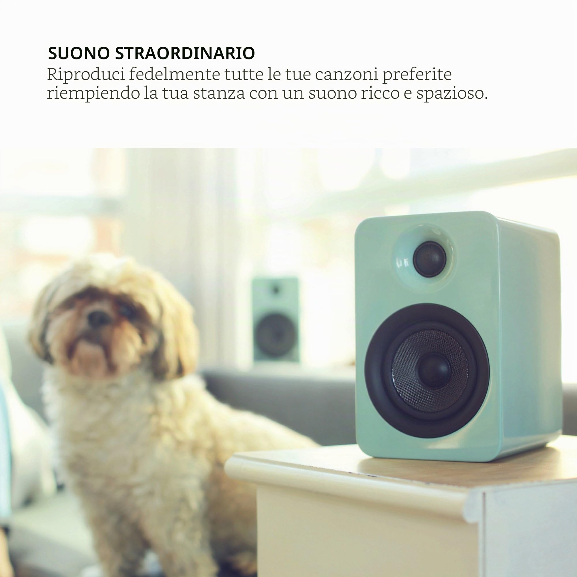 Kanto YU4 di altoparlanti alimentati con Bluetooth e preamplificatore fono - Nero lucido