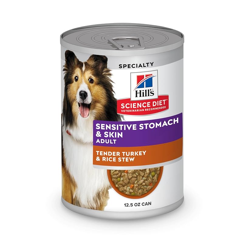 Ração úmida para cães adultos Hill's Science Diet Sensitive Stomach & Skin com peru e arroz, Pacote com 12 unidades de 354 g
