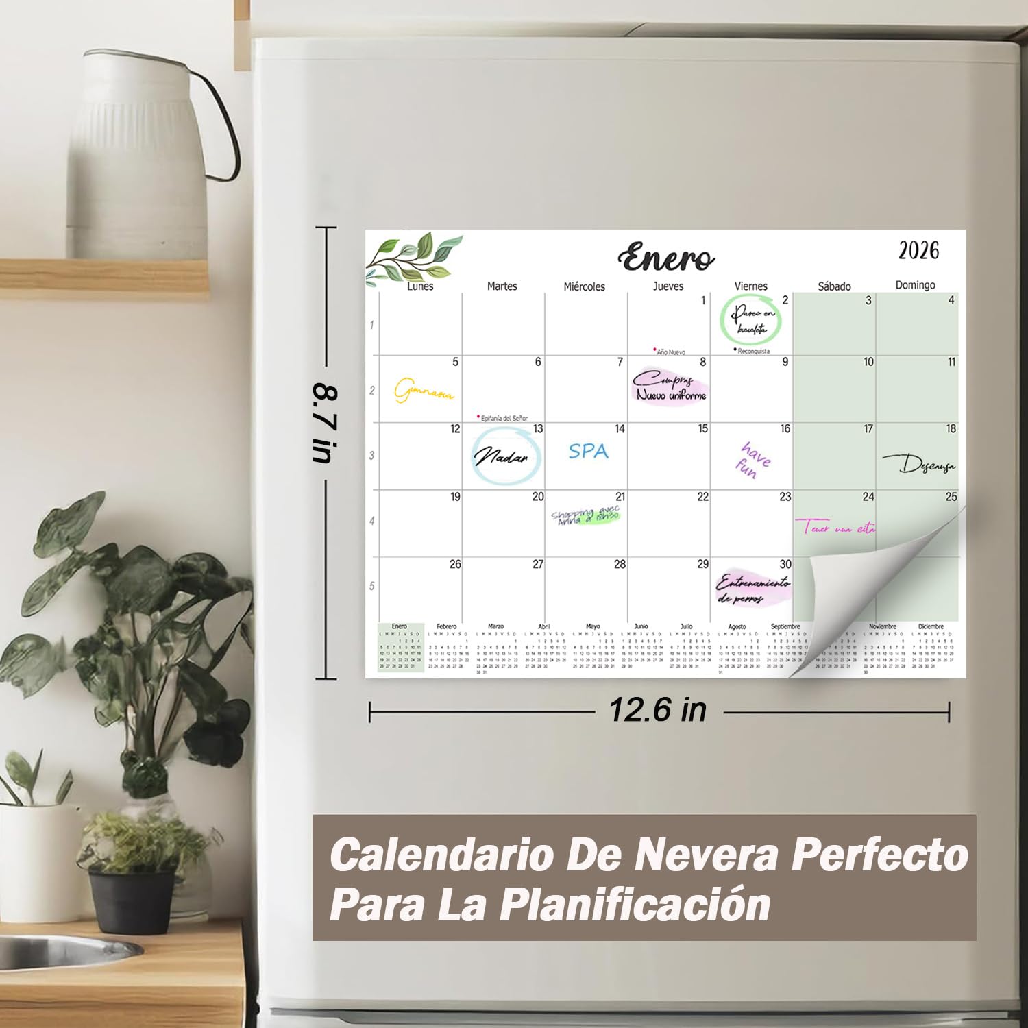 Calendario Magnético Nevera 2026 2027 A4, Calendario Imán Nevera Enero 2026 - Junio 2027, Planificador Mensual Familiar, para Casa Oficina Escolar (Español)