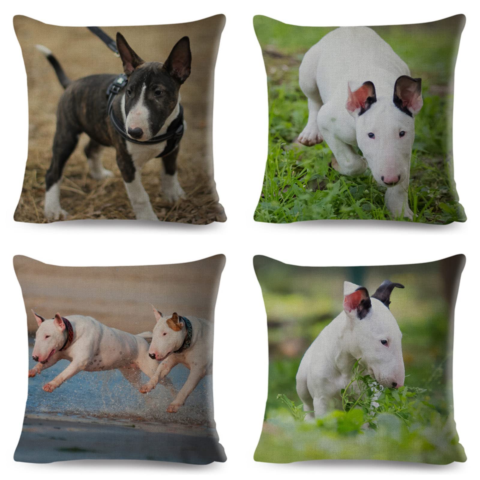 Cuscini, Cuscini Divano, Copricuscini, Fodere Cuscini, Federa Cuscino, Cuscini Decorativi, Cuscini per Divano, Cuscini Letto, Federe Cuscini Divano, Cuscino da Divano, 4 Pezzi Cane 35x35 D4754