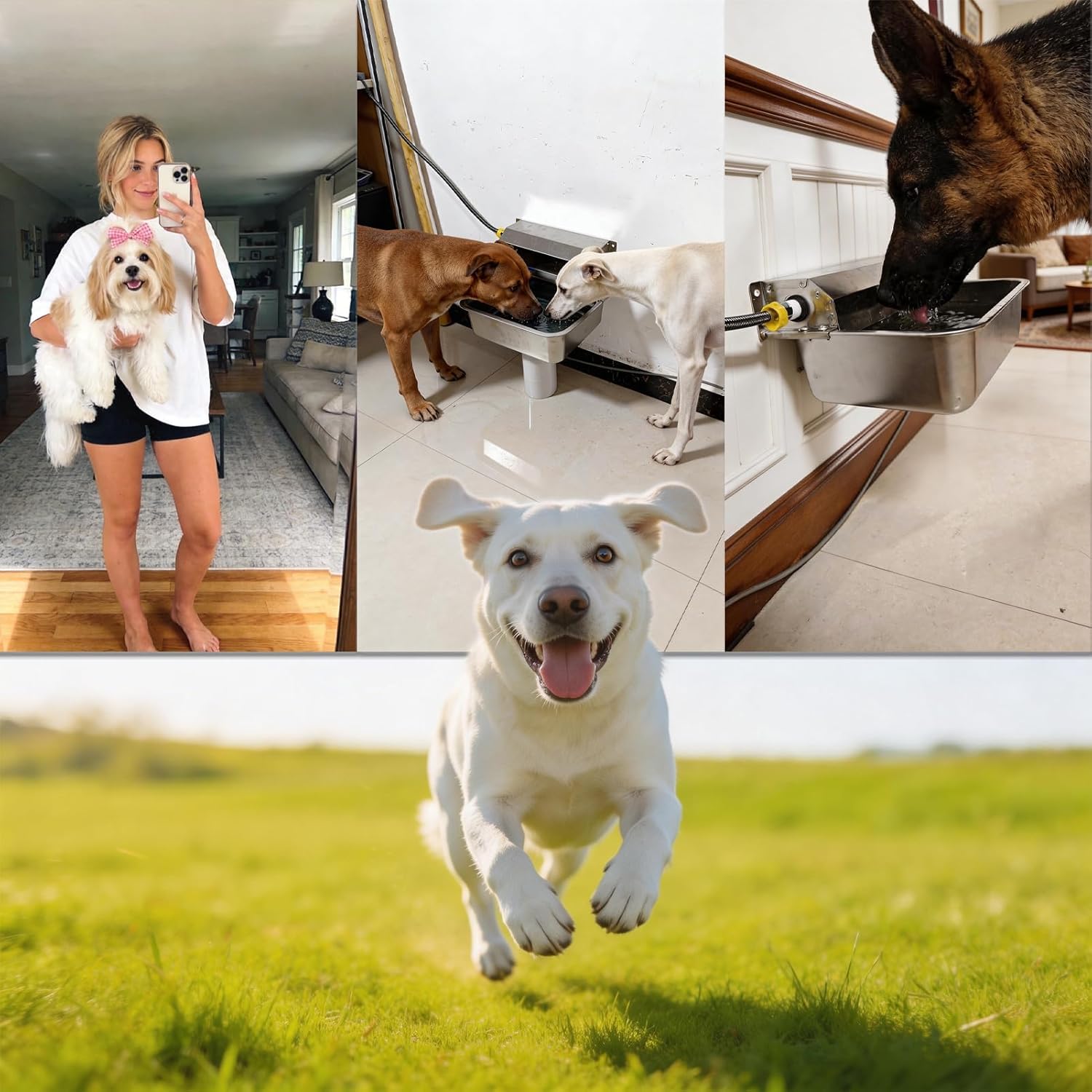 Distributeur d'eau Automatique pour Chien - 1.5 Gal/5.7 l - Intérieur/extérieur - Acier Inoxydable - Bétail, Animaux de Compagnie, Poulet