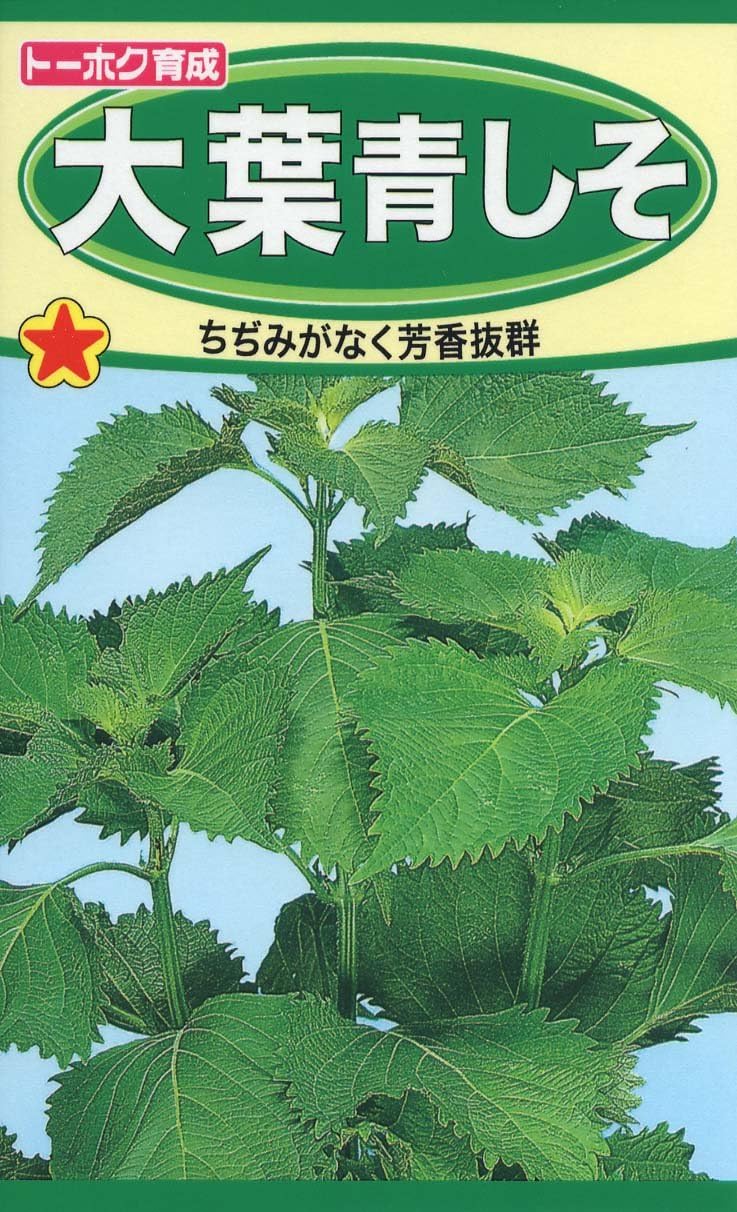 株式会社トーホク 大葉青しそ 野菜 Amazon