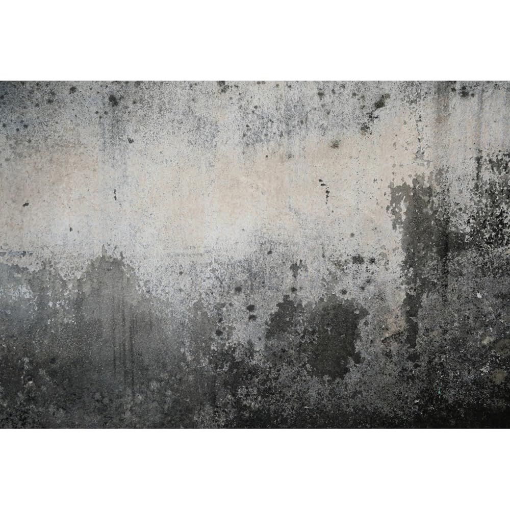Laeacco 10x7ft Old Grey Wall Backdrop Grunge Old Concrete Wall Photography Background Retro Wallpaper Halloween Thmemd Party Cake Table Decoration Baby Kids Adults Portrait Banner Photo Booth Props