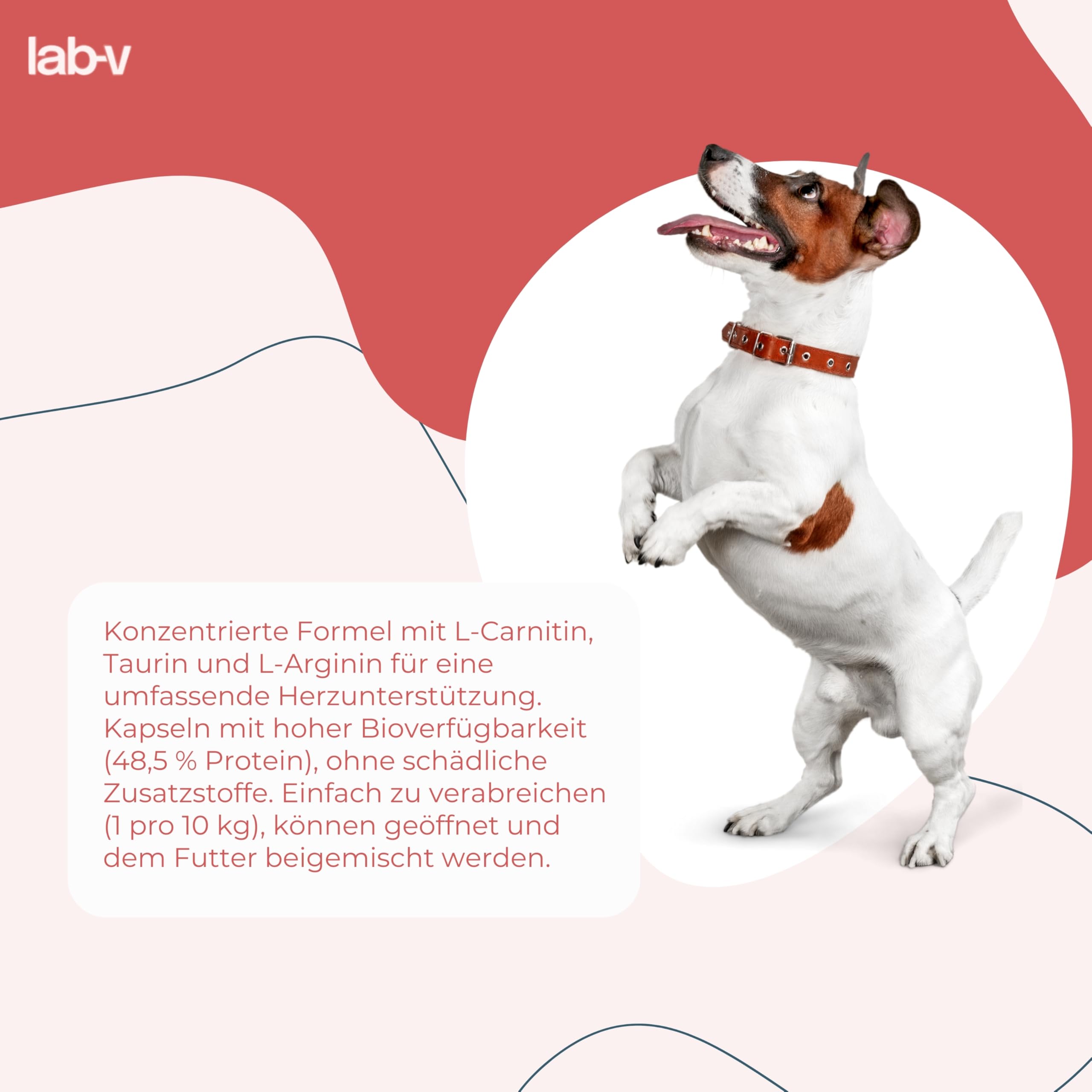 Cardio Regeneration Lab-V, 45 Kapseln, fortgeschrittene Herzunterstützung für Hunde und Katzen, tierärztliche Formel mit Taurin, L - Arginin und L - Carnitin für Hunde und Katzen, gesundes Herz