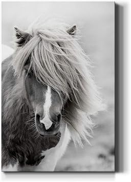 Renditions Gallery Animal Canvas Wall Art Home Paintings & Prints Rustic Vintage Horse Modern Decorations Black & White Wall Hanging Artwork for Bedroom Office Home Kitchen - 8"x12" LT02