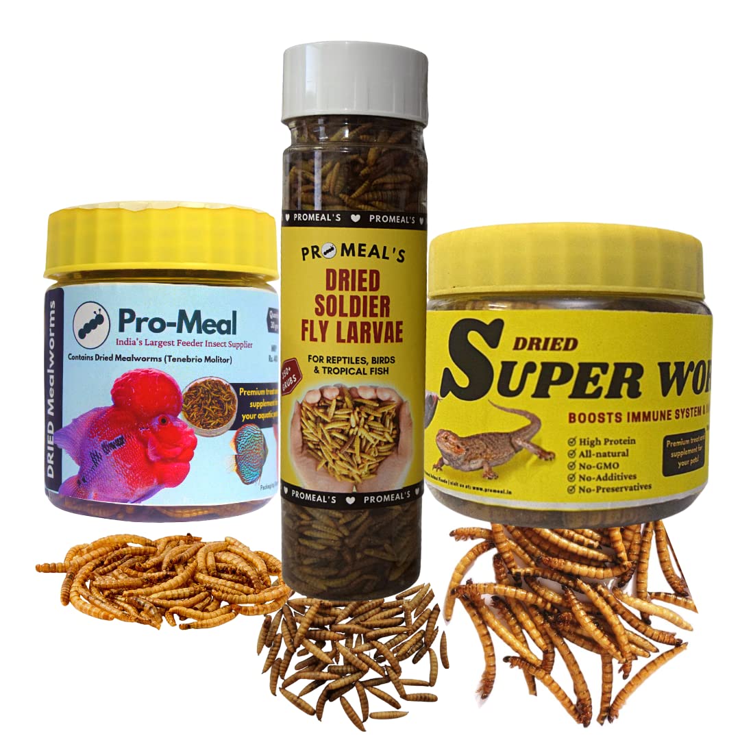 Promeal's Dried Combo Pack - Mealworms + Superworms + Soldier Fly Larvae | Treat Food for Aquarium Fishes Like Flowerhorn, Arowana, and Birds, Finches, Reptiles, Monkeys and Other Pets