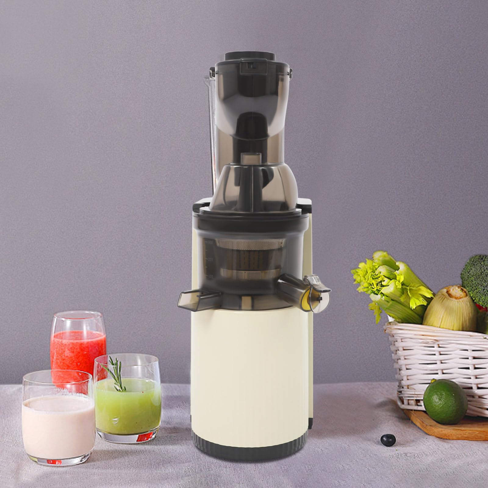 Slow Juicer Entsafter 800W mit 80mm Einfüllschacht für Obst und Gemüse | 98,5% Saftausbeute und 500ml Behälter, leistungsstarke Saftpresse für nährstoffreiche Säfte