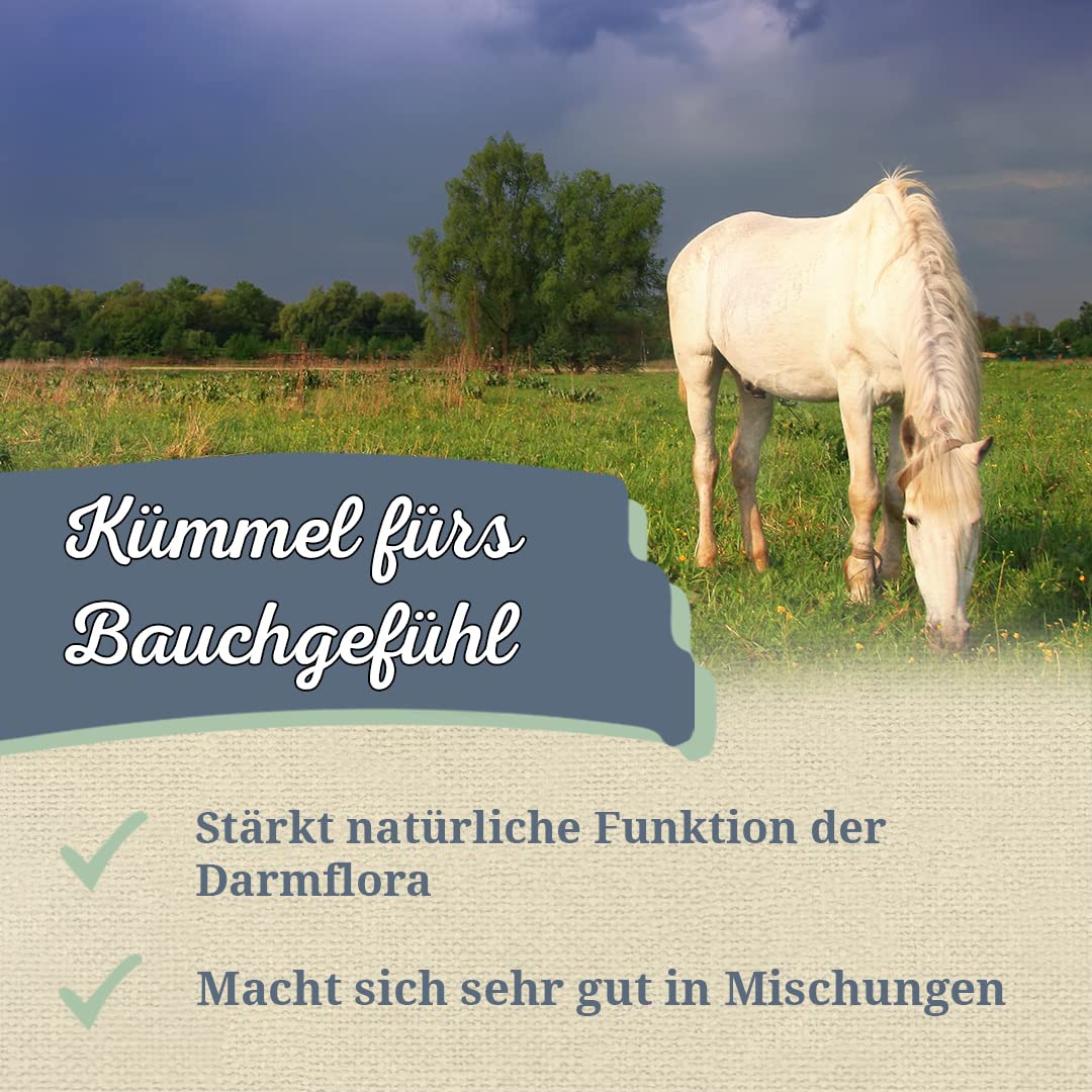 Krauterie Kümmel für Pferde, ganz (2000 g) | Artgerechtes Einzelfuttermittel für Pferde in Spitzenqualität - frei von Zusatzstoffen, getreidefrei, zuckerfrei, melassefrei