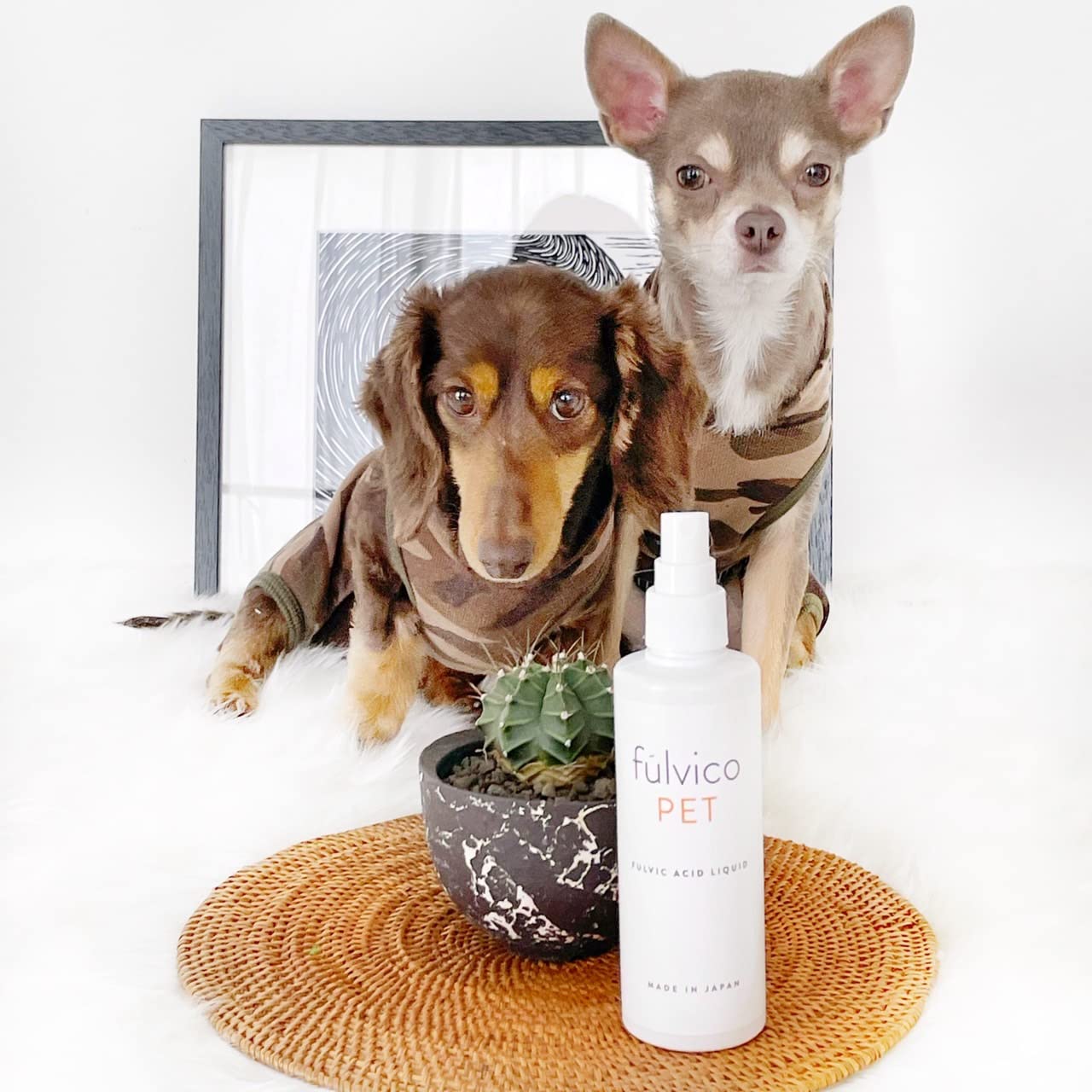 Amazon.co.jp: fúlvico PET 国産天然フルボ酸100% 除菌・消臭剤 腐植土