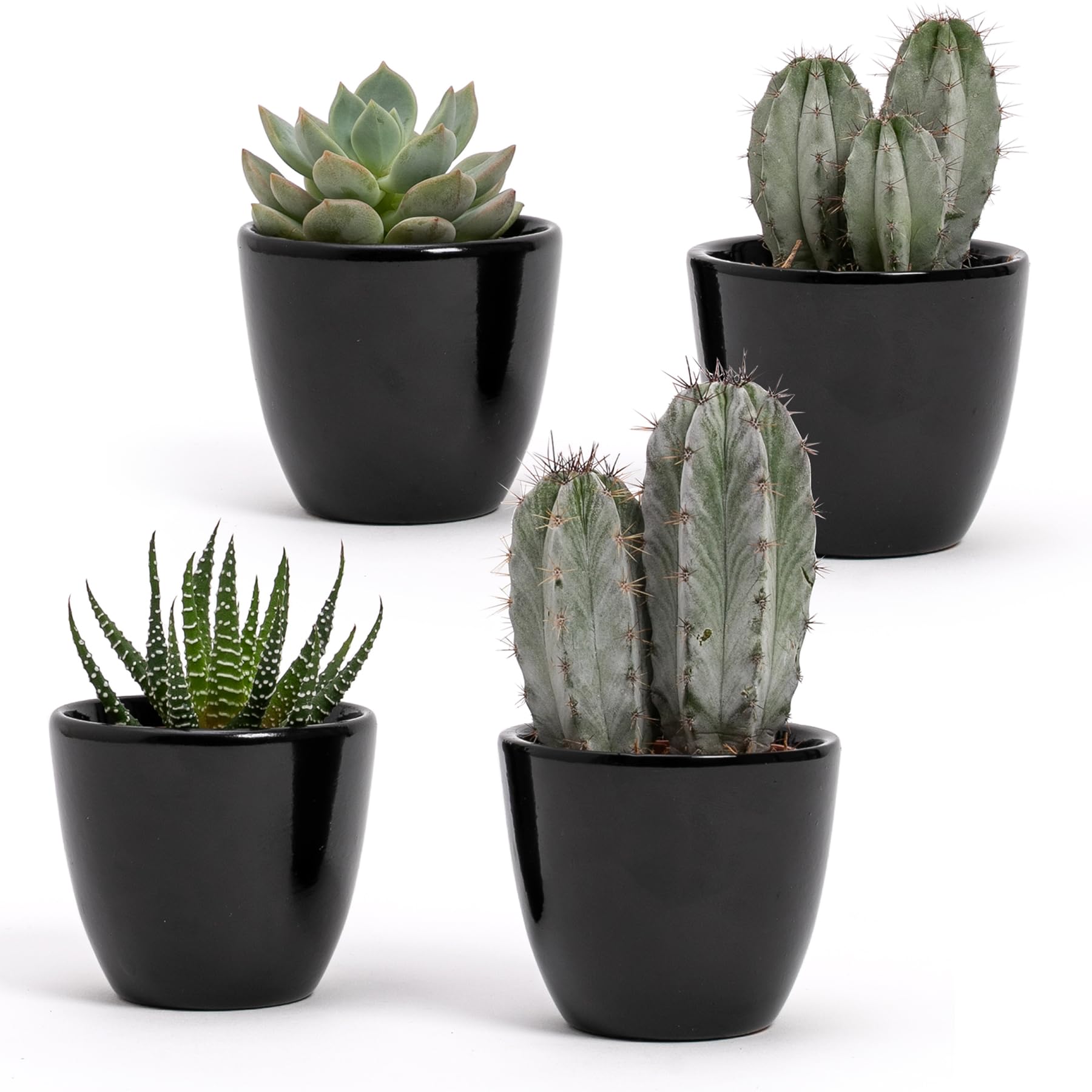 Awsuc Set di 28 Vasi da Fiori 5.5c,vasi per Piante Vaso in Terracotta