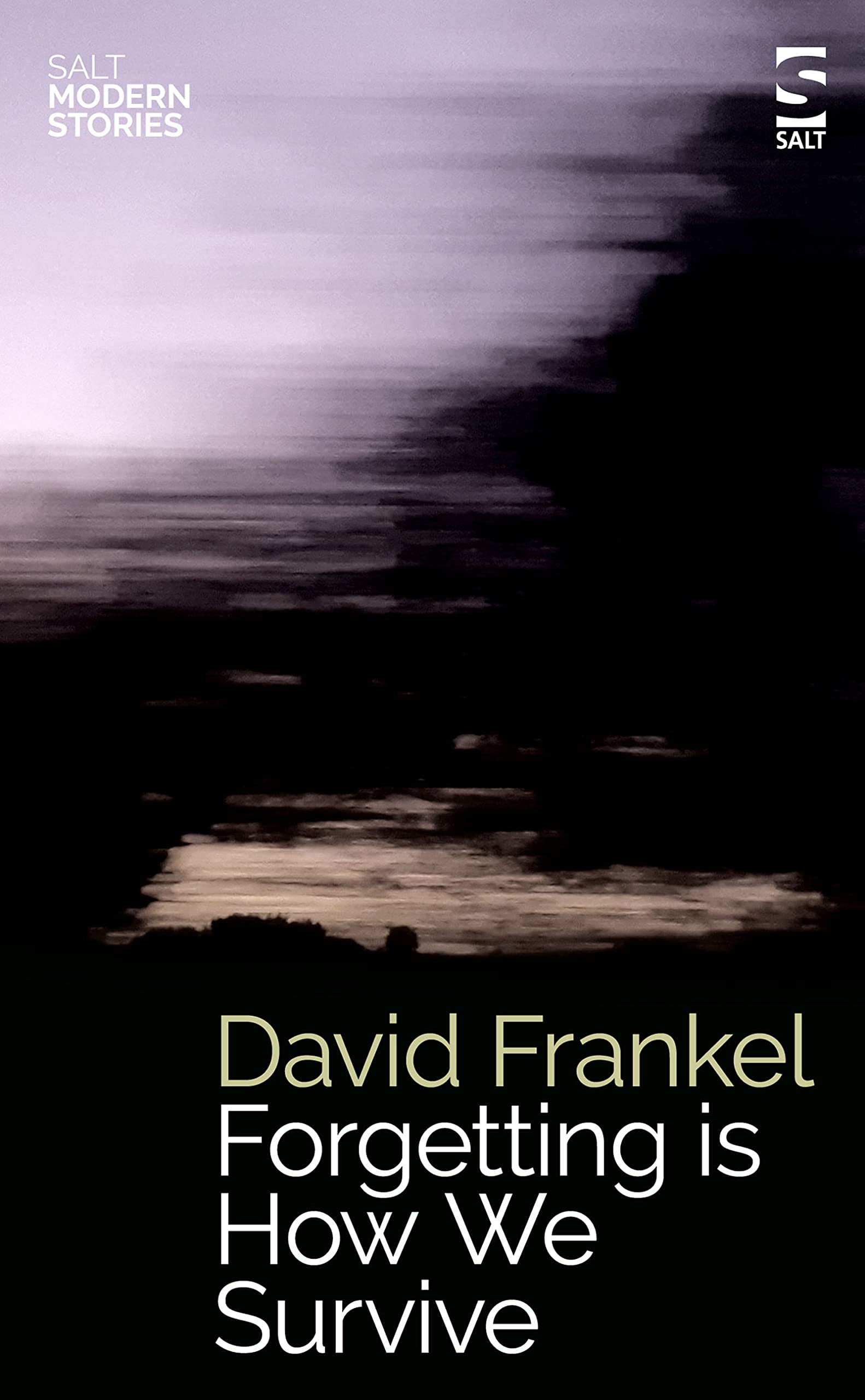 Forgetting is How We Survive (Salt Modern Stories)