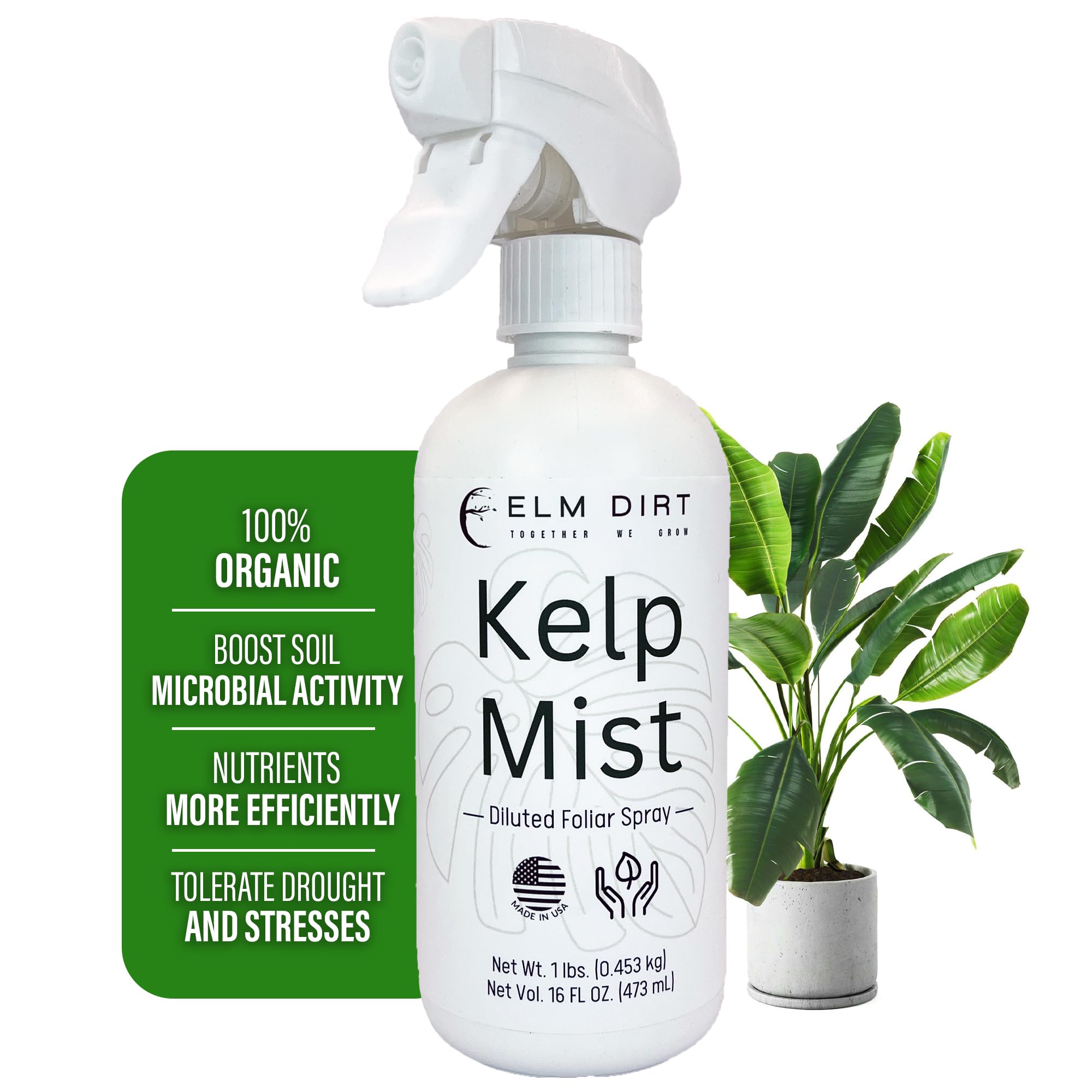 Elm Dirt Kelp Mist 100% Organic Plant Spray - Foliar Spray for Plants Food Indoor House Plants & Outdoor Plant Food | Help Plant Nutrients Efficiently & Boost Soil Activity - Kelp Foliar Mist (16 oz)