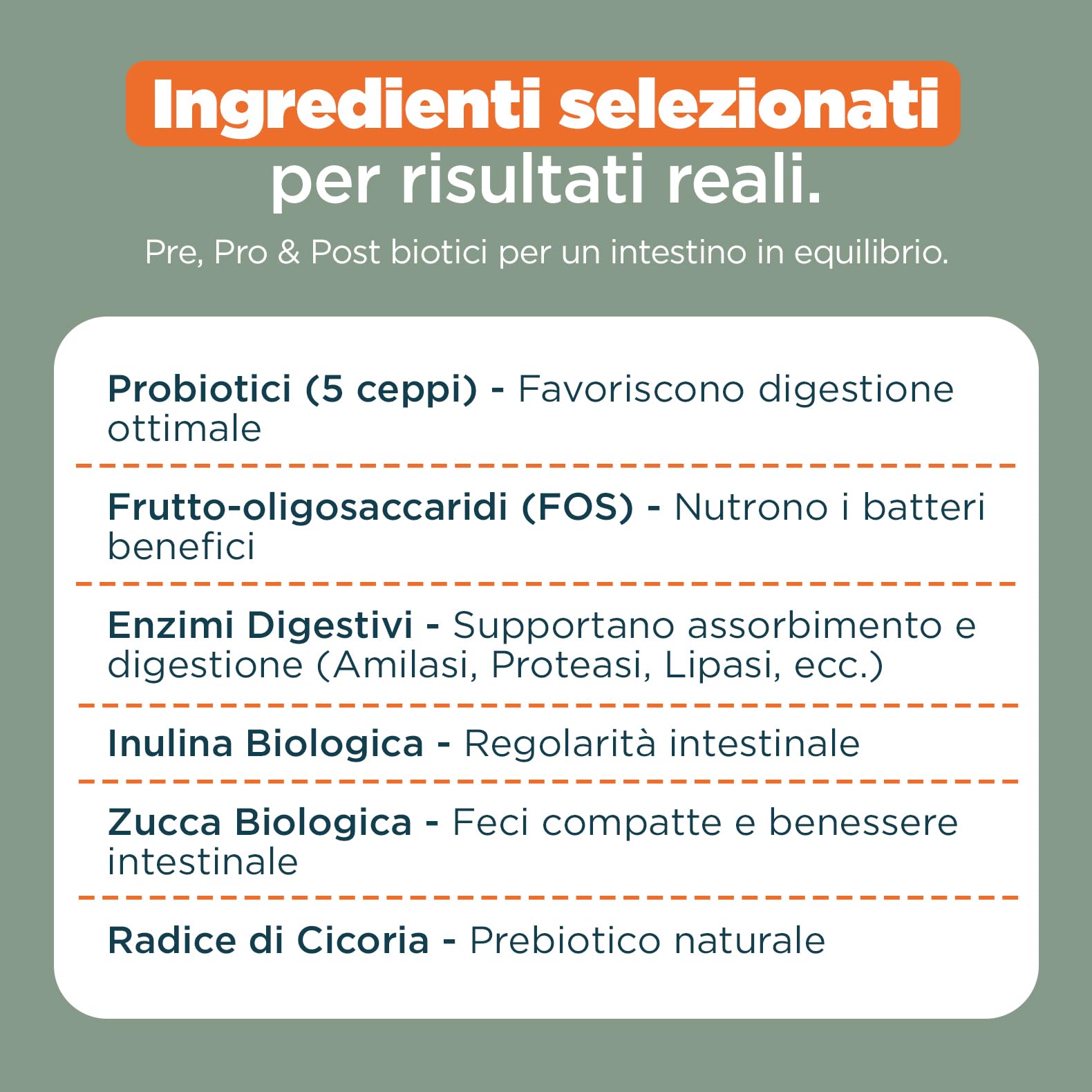 Probiotici Digestivi per Cani | Integratore con Pre, Pro & Post Biotici | Supporto Digestione, Flora Intestinale e Difese Naturali | 60 Bocconcini Gusto Manzo