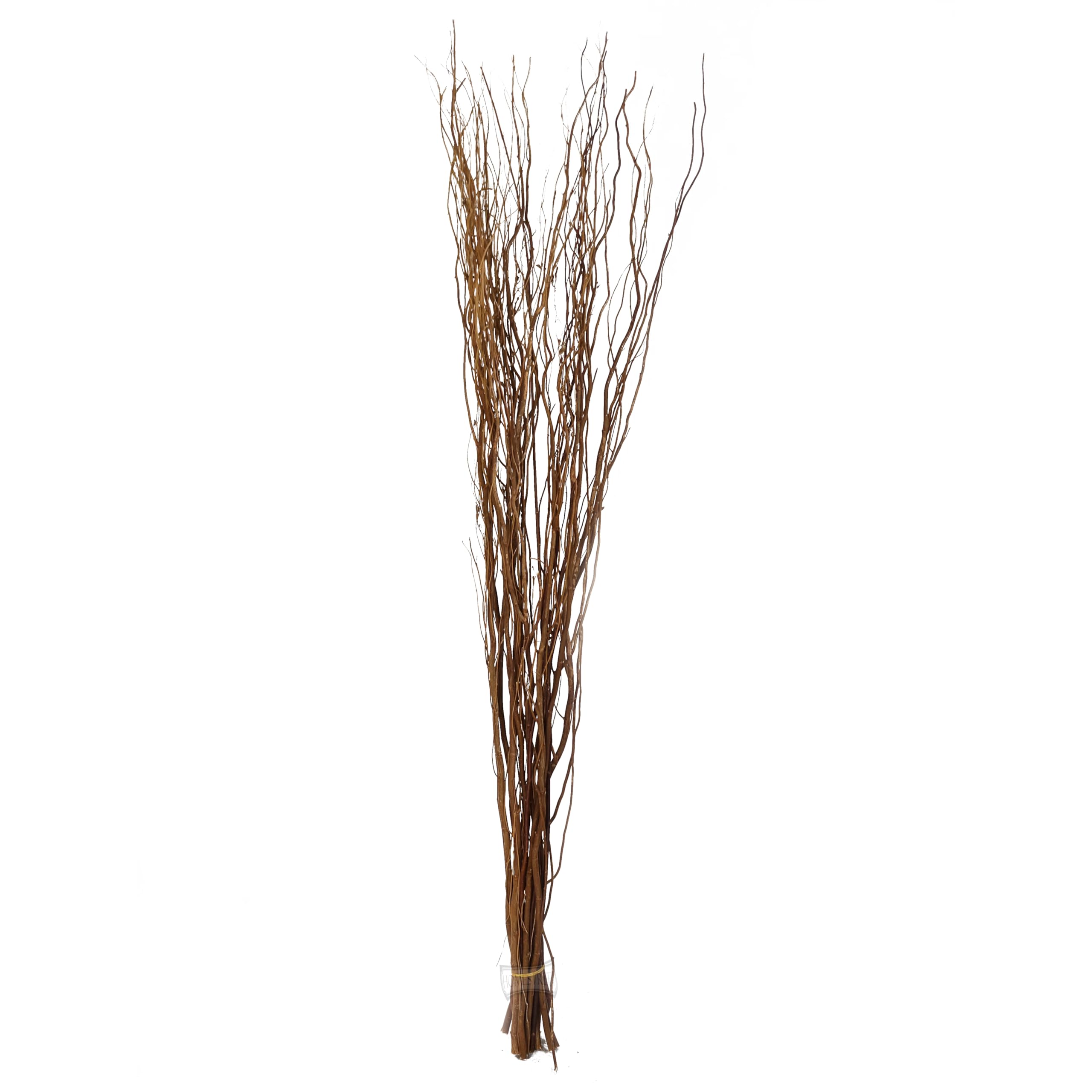 Homestreet Chocolate Contorted Twisted Willow Twigs Bunch For Floor Standing Vases And Displays 120Cm Tall In Brown, Black, Silver, Gold Or Natural (Chocolate)