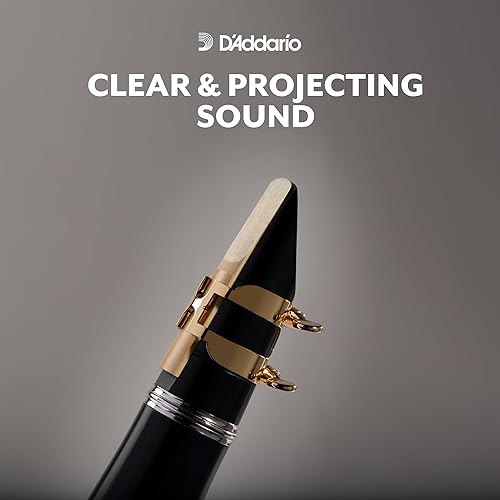 Miniatura 4 de D'Addario Woodwinds Rico - Accesorio de acordeón