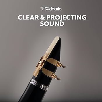 Amazon.co.jp: D'Addario WoodWinds ダダリオ リード Eb