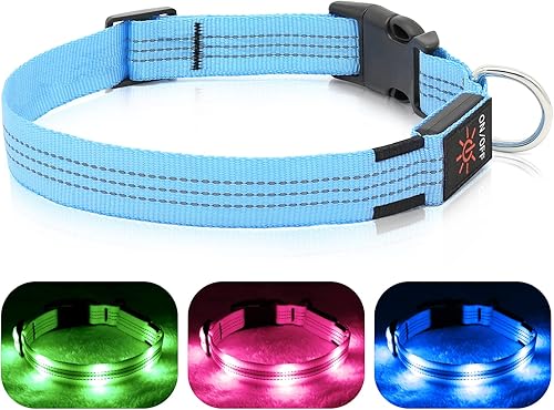 BSEEN Collares para perros con luces LED brillantes, collar reflectante para cachorros, collar de perro iluminado ajustable, collar recargable para