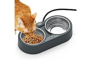 Heated Cat Bowl, Heat Food Bowls for Cats Outdoor