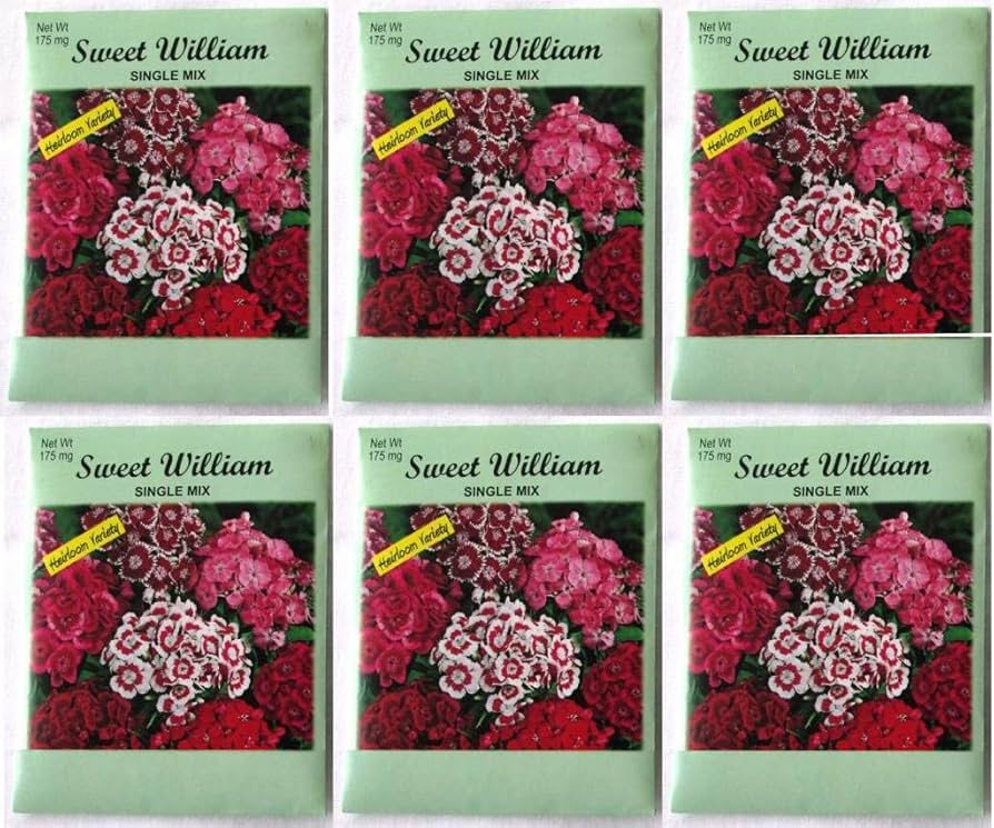 Amazon.com : (6 Pack) 175 mg/Package Sweet William Single Mix