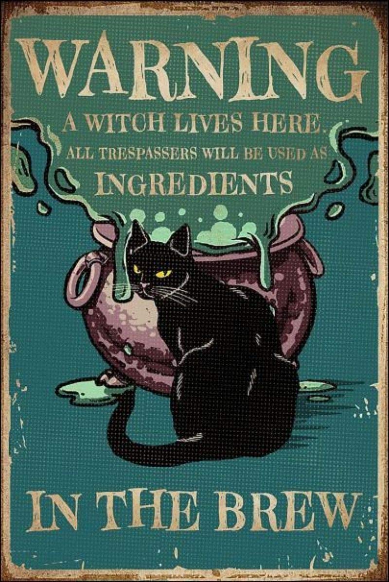 Warning A Witch Lives Here All Trespassers Will Be Used As Ingredients in The Brew Retro Metal Tin Sign Vintage Sign for Home Coffee Wall Decor 8x12 Inch