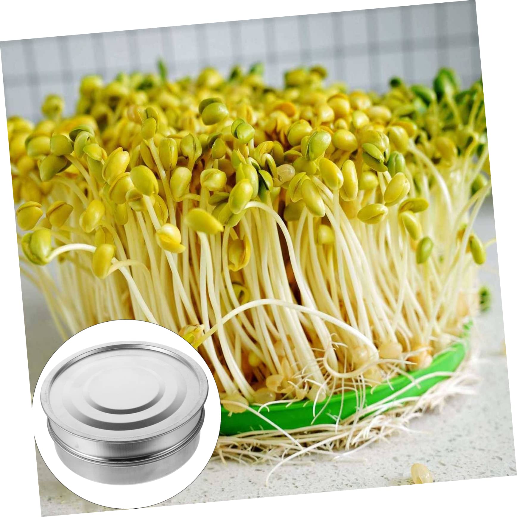 HANABASS Keimschalen zum Anzucht von Sprossen 20cm Satz aus Edelstahl mit Feinem Sieb Robustes Gartenzubehör für Zuhause und Garten für Familie und Kinder