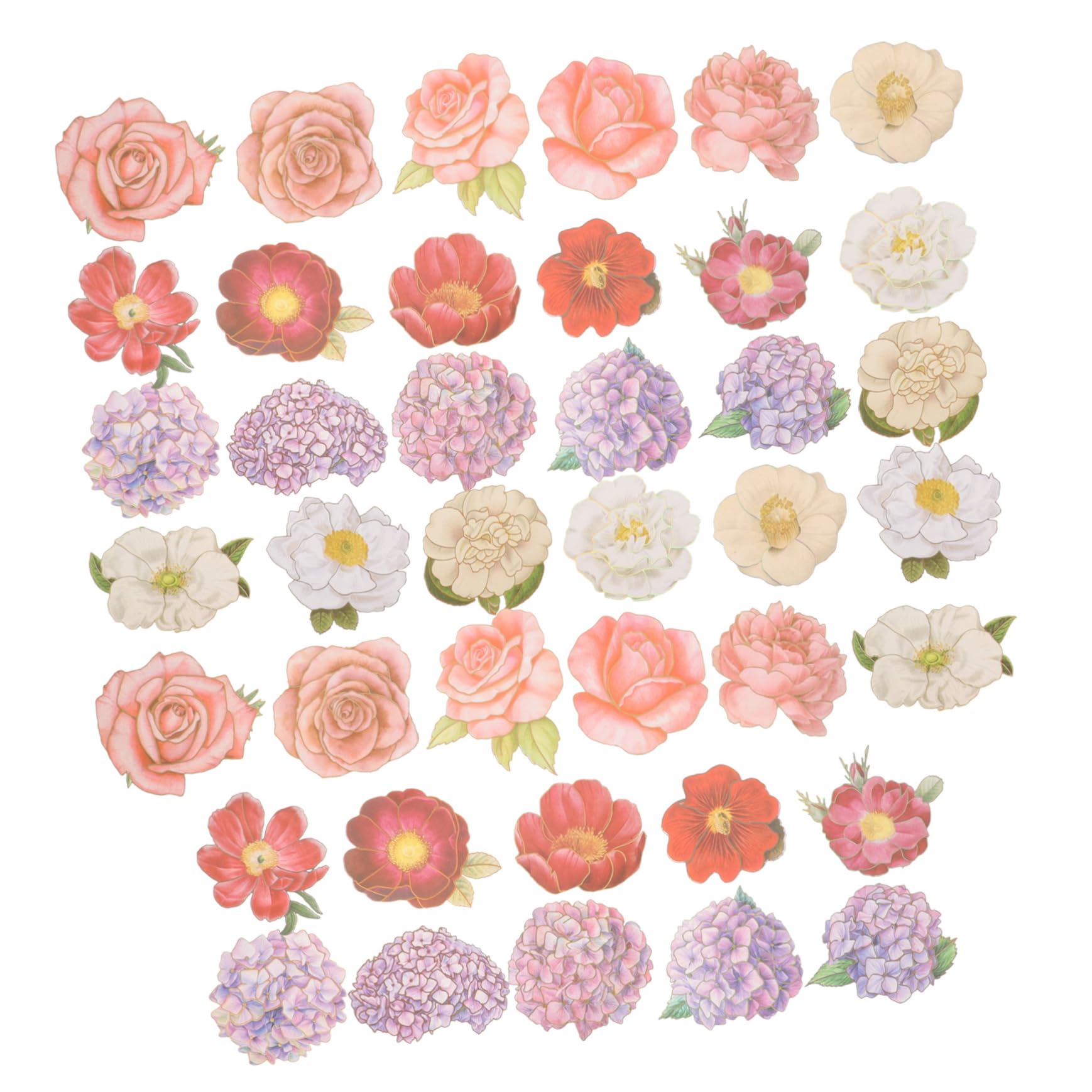 Uonlytech 5 Set Adesivi Floreali Per Scrapbooking Adesivi Decorativi Con Piante Per Album Fotografici Aesthetic E Impermeabili Per Decorare Ogni Superficie Liscia 40 Fogli*5