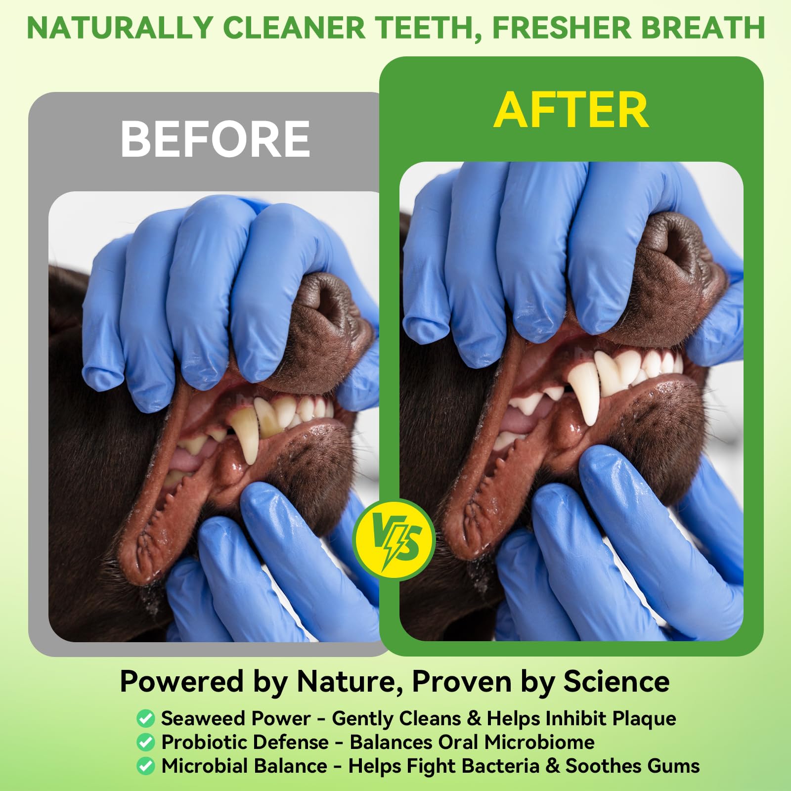 Dog Dental Powder - Plaque and Tartar Control with Bad Breath Freshener for Dog and Cat, Easy-Use Teeth Cleaning Powder with Mint,Suitable for All Breeds & Sizes,60 Day Supply - image 2