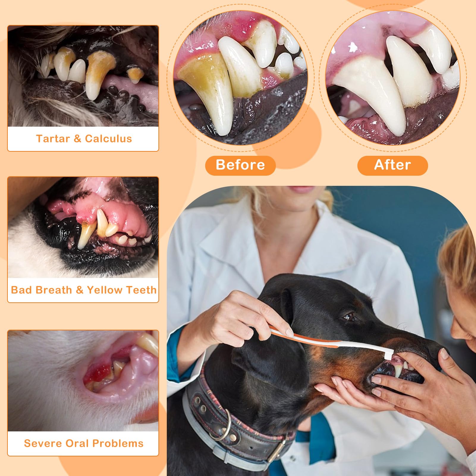 Zestaw do czyszczenia zębów psa: Dentifricio dla psa, szczoteczka do zębów i szczoteczka palcowa, antytartar, zapobiega płytce i kamieniowi
