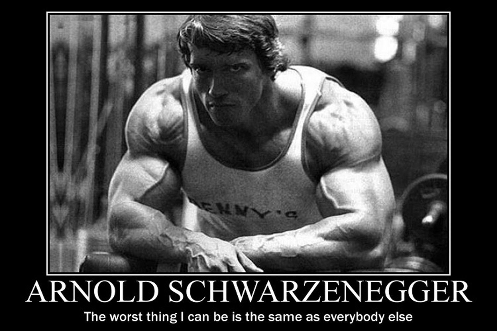 Arnold Schwarzenegger Bodybuilding Motivational Poster 12X18'' Gym Decoration 10