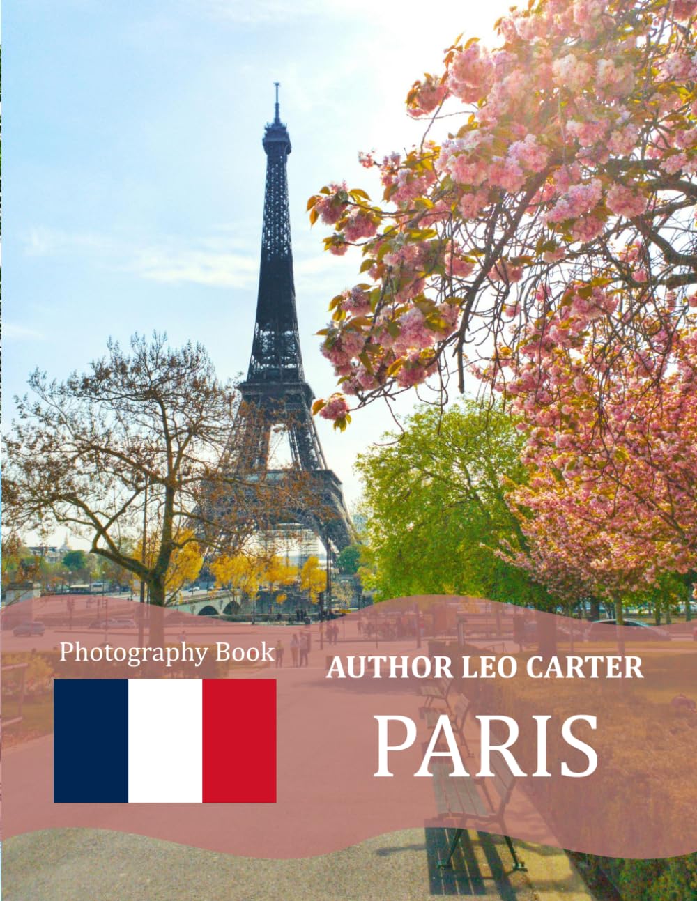 Paris: A Collection of 40 Scenic Photographs Showcasing the Beauty of Paris