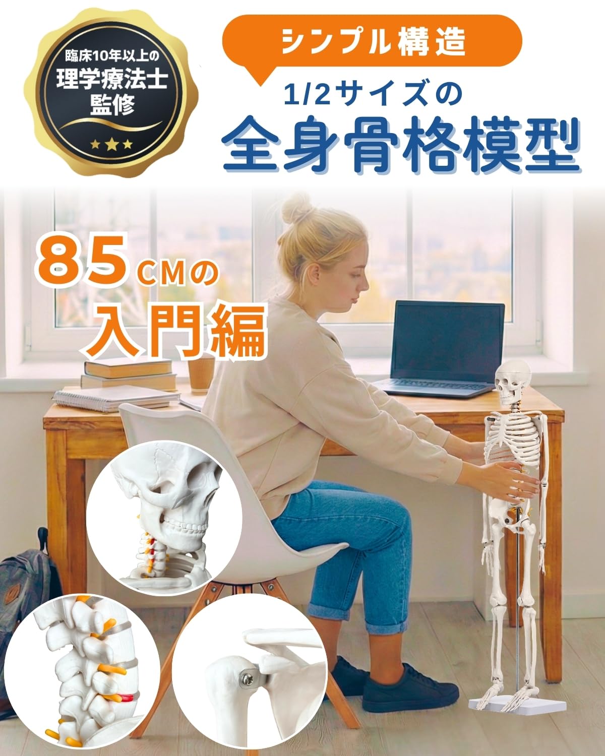 シンプルな1/2サイズ全身骨格模型約85cm 理学療法士監修 動かせる大関節 Amazon.co.jp: KIYOMARU シンプルな1/2サイズの全身骨格模型 人体模型
