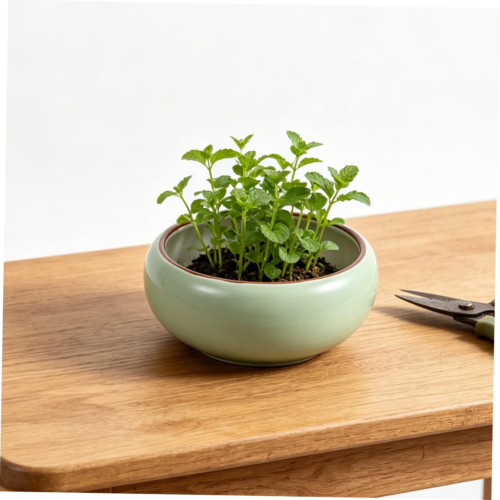 Toyvian Contenitore in Ceramica per Piante Acquatiche Grande Apertura, Design Rotondo Sobrio Opaco, per Coltura fuori Suolo e Decorazione Indoor