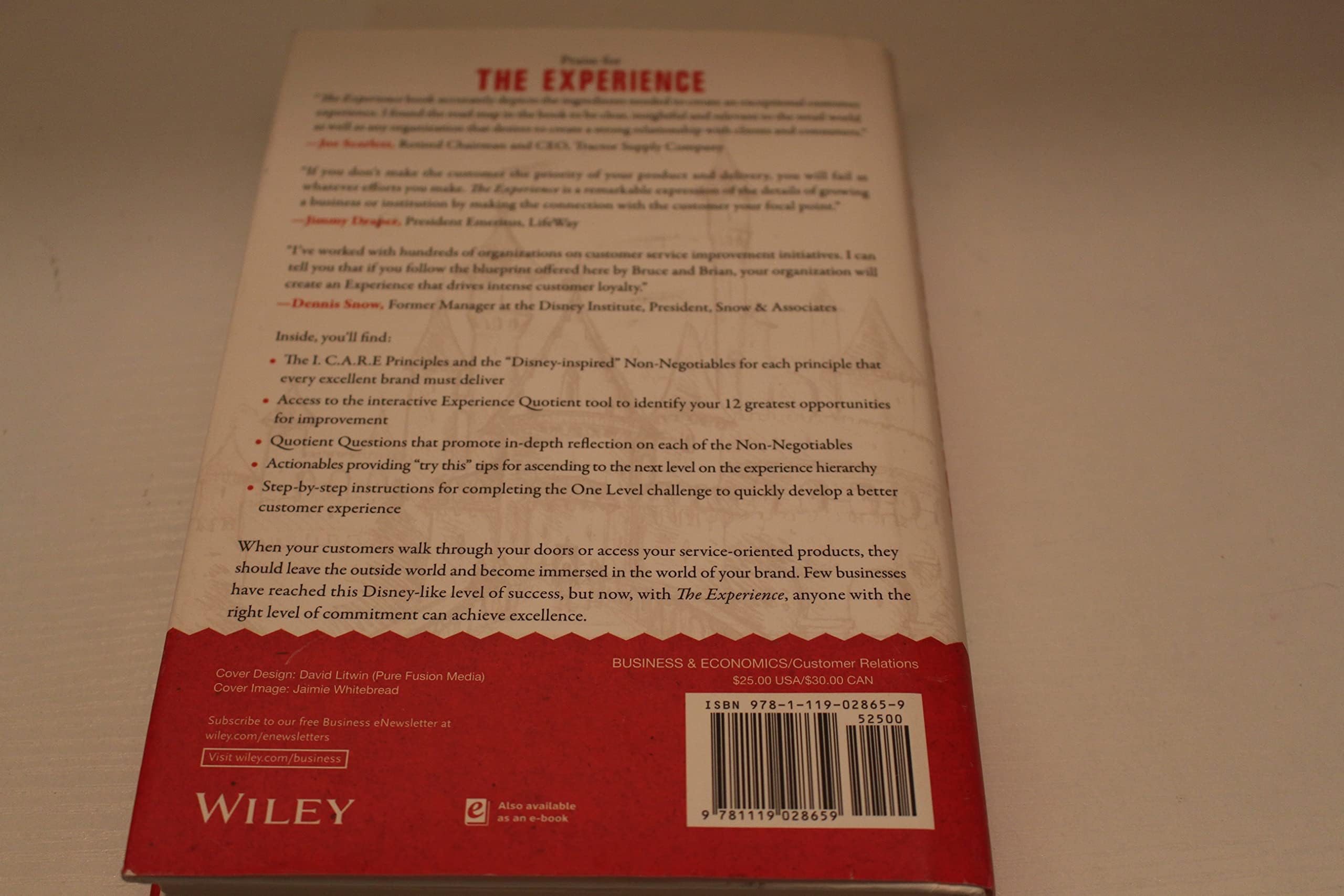 The Experience: The 5 Principles of Disney Service and Relationship Excellence - Image 3