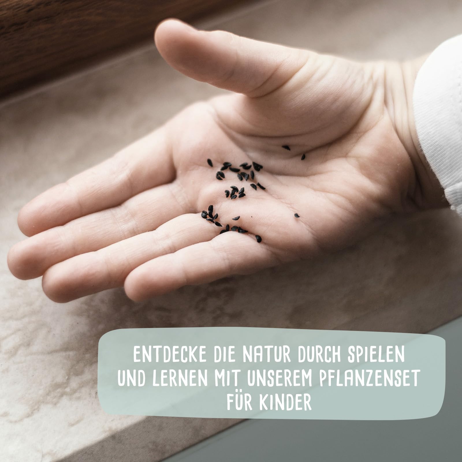 Personalisiertes Saatgut Anzuchtset für Kinder, Mini Gärtner Starter Kit, Garten Holzkiste, Gemüsegarten für Kinder, Kräutergarten, Blumengarten (Kräutergarten, L (40x30x14cm))