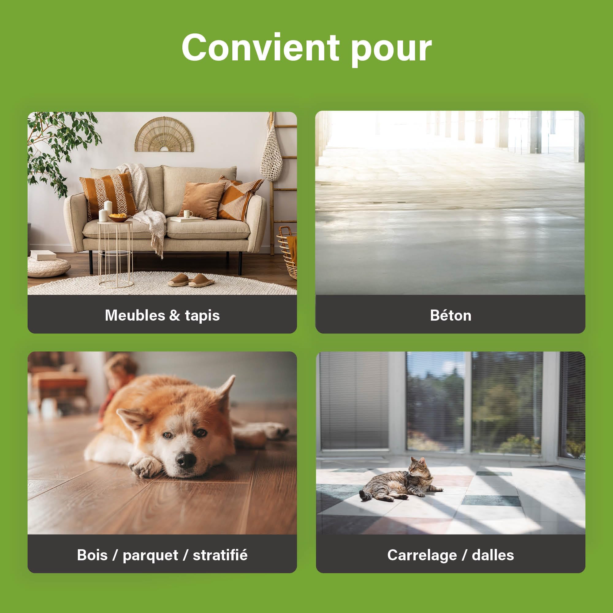 UF2000 4Pets Éliminateur d'Odeur d'Urine 2500ml | Recharge | Concentré 1 sur 5 | sans Parfum | 100% Biologique | Utilisation Polyvalente | Élimine Les Odeurs | Chiens, Chats et Petits Animaux
