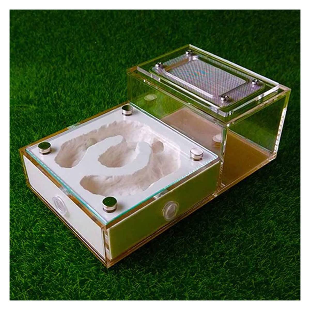 Ant Farm Magnetic Model Bionic Acrylic Flat Glass Gypsum Ant Farm Workshop Ant House Box Ecological Pet Anthill Ant Nest for Birthday Present Gift (Color : White-2)