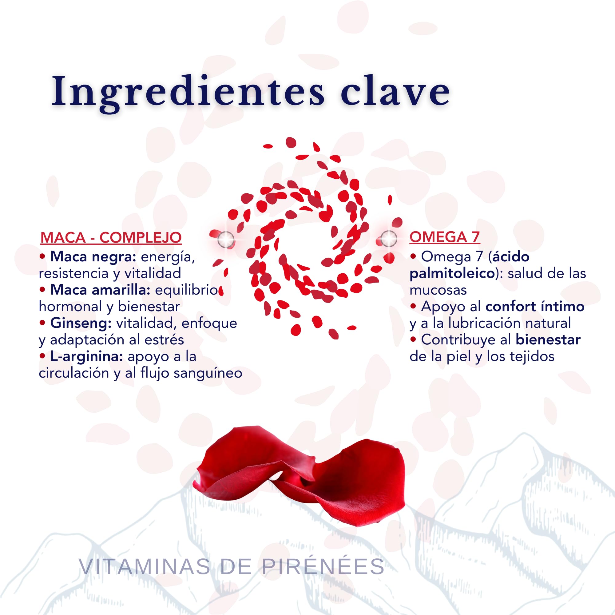 Maca Negra, Maca Anadina, Ginseng, L-Argenina y Omega 7 – Gestión equilibrio y bienestar integral, Sin OGM, 2 Suplementos en 1 Paquete para a confianza y el máximo rendimiento | 28 sachets diarios