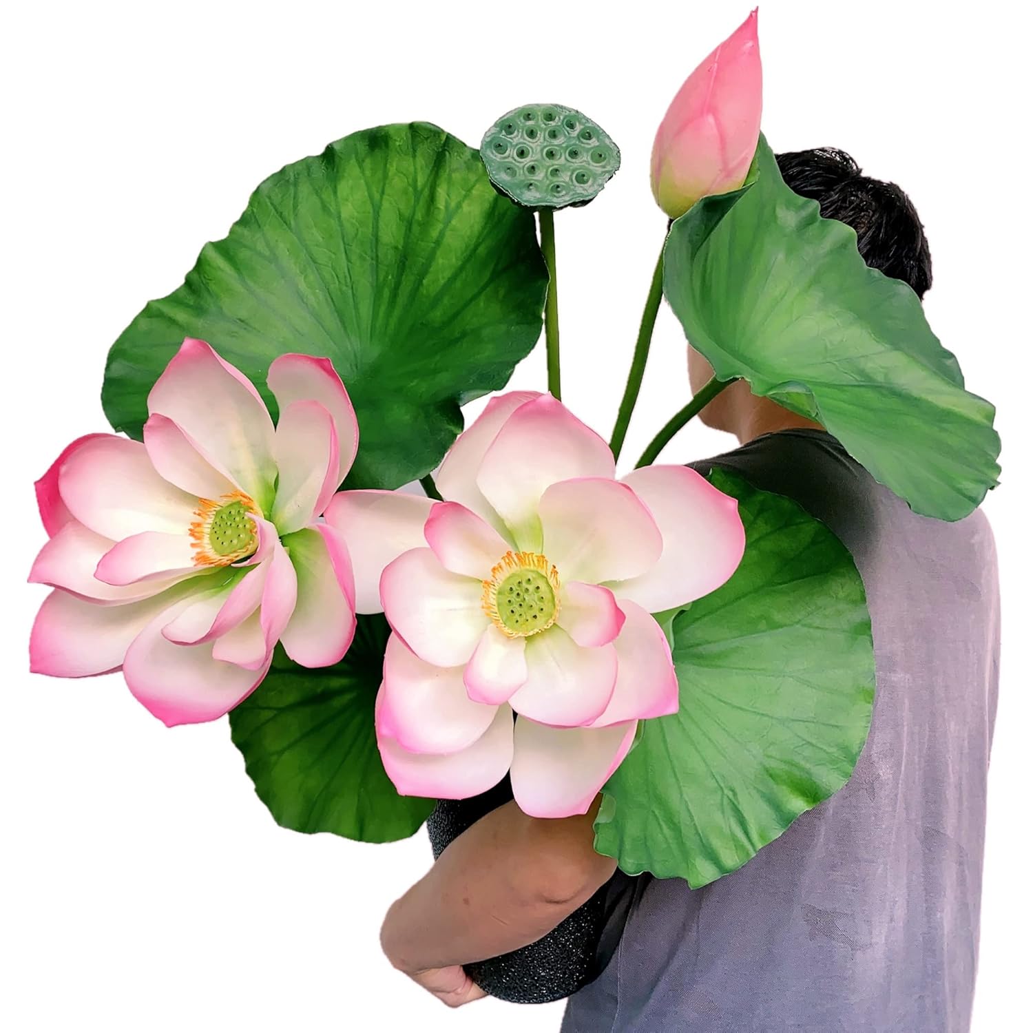 Buy Raxcelivia Set of 8 Artificial Lotus Flowers, Leaves, Seedpod and