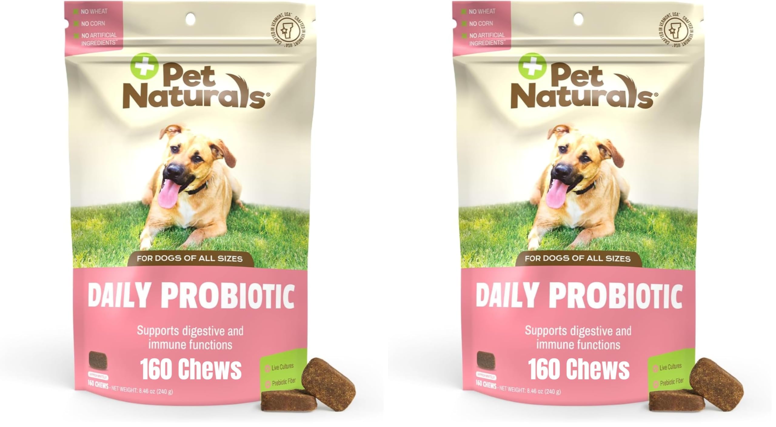 Pet Naturals Daily Probiotic for Dogs,Duck Flavor,160 Chews - 120M CFUs Pre and Probiotics for Dogs Digestive Health,Gut Health,Immune Support,Diarrhea,Allergies and Itching,(Pack of 2)