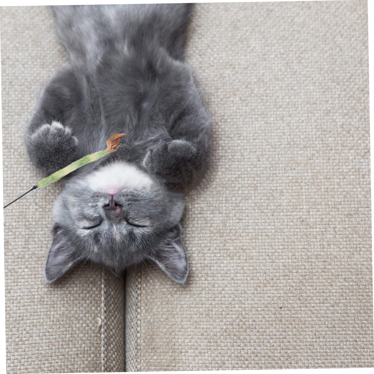 INOOMP 15pièces Canne à Jouet Peluche pour Chat avec Plume Colorée Accessoires Amusants pour Animaux De Compagnie