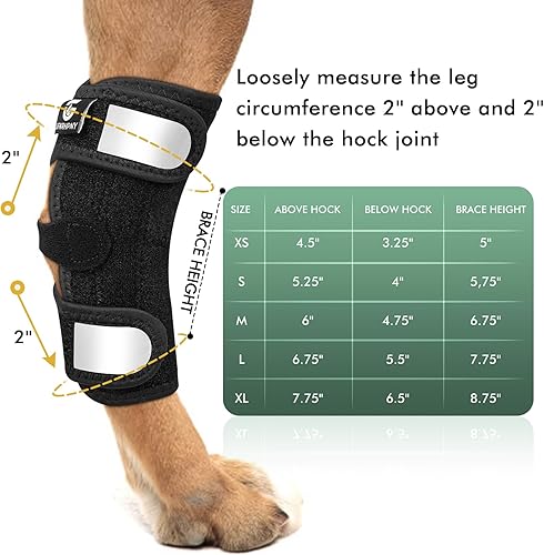 Miniatura 4 de Tobillera de pierna trasera para perro para desgarro ACL y CCL, soportes para piernas de perro para pierna trasera con inserciones de resorte de