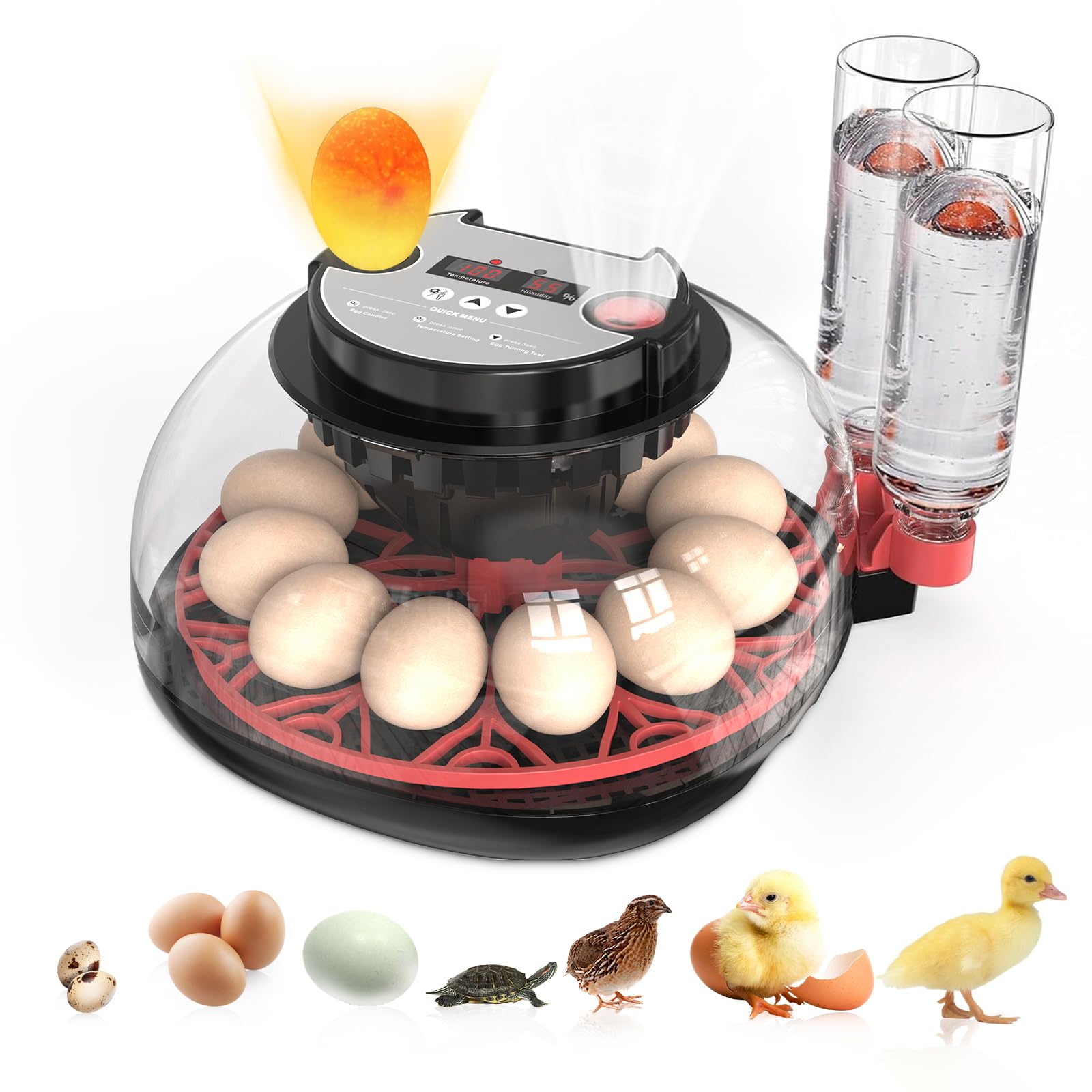 SylvanSparkKitchen Incubators for Hatching Eggs Automatic Egg Incubator with Temperature Control Humidity Display 12 Egg Capacity for Chicken Duck Goose Eggs Digital Display Auto Turner 360° View
