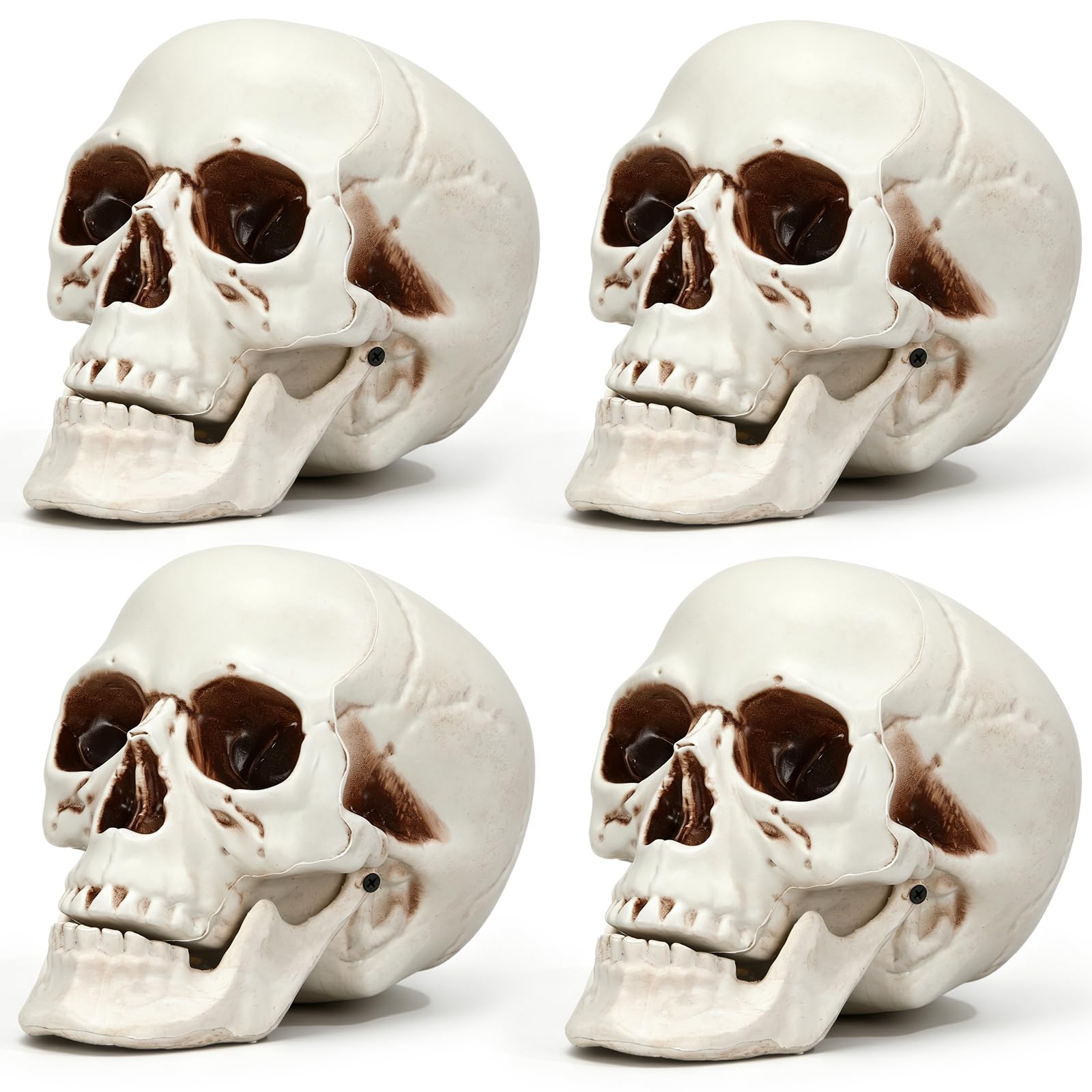 Sratte 4 Pcs Halloween Human Skull Model Adult Plastic Skull Decor Fake Head Decorations Realistic Head Bone Model Human Skeleton Statue (8.7 Inch)