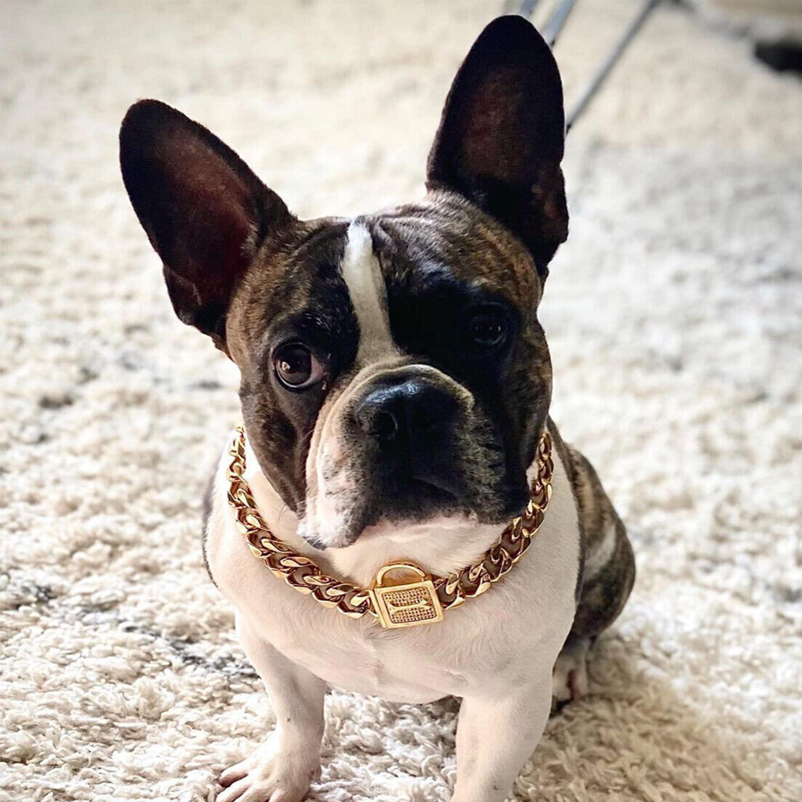 Dog Chain Diamond Cuban Link Dog Collar with Design Secure Buckle, 19MM Width Pet Metal Collar Jewelry Accessories for Small Medium Dogs